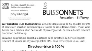 La Fondation «Les Buissonnets» recherche Directeur-trice